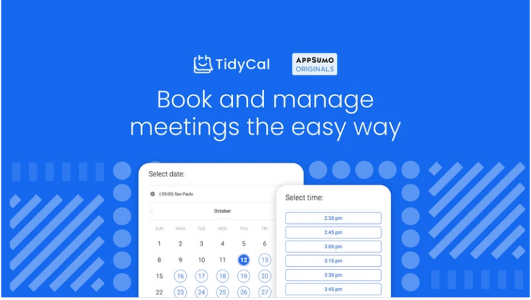 TidyCal Review 2024